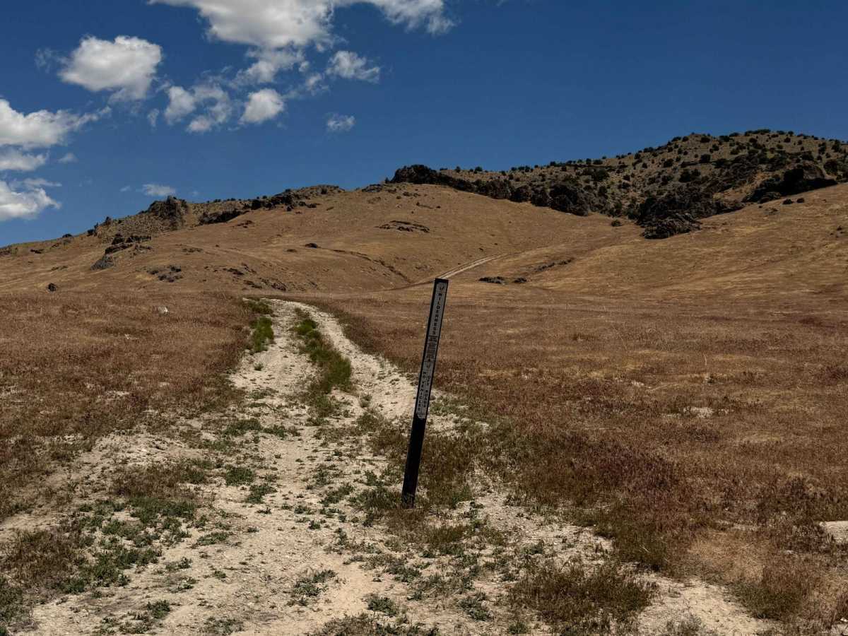 Cedar Mountain West photo 6