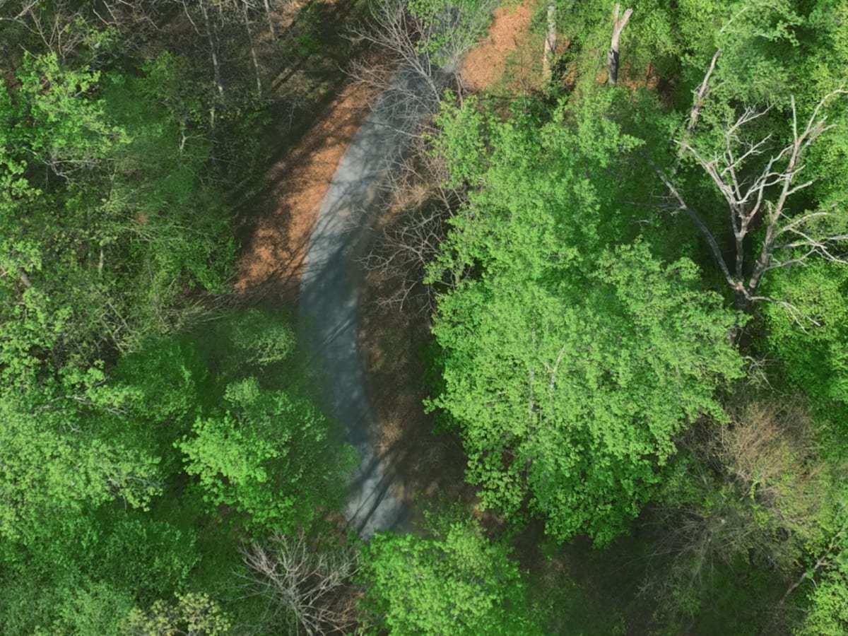 Pedlar River photo 2