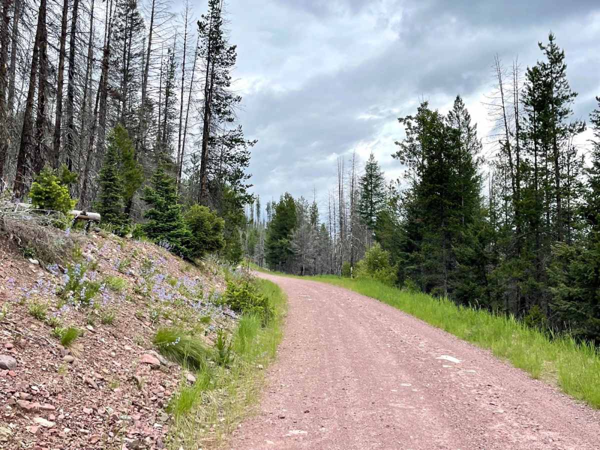 Upper Trail Creek photo 6