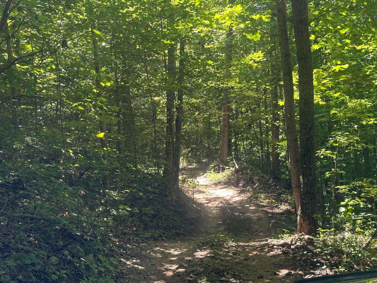 105 trail photo