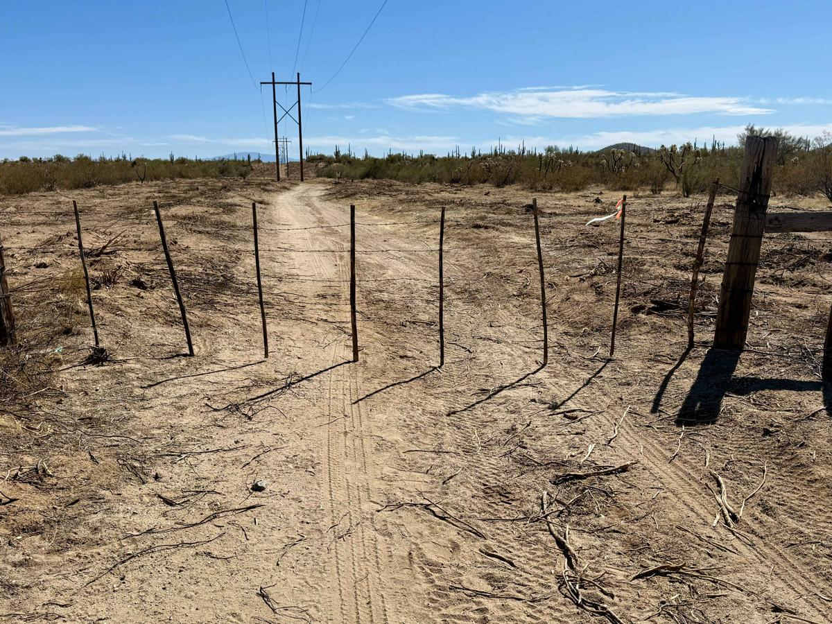 Pinal Pioneer Pole Line East: Freeman to Private Ranch photo 2