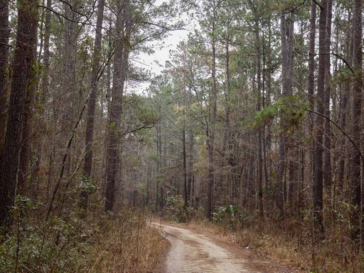 FSR115 - Bonneau Road photo 5