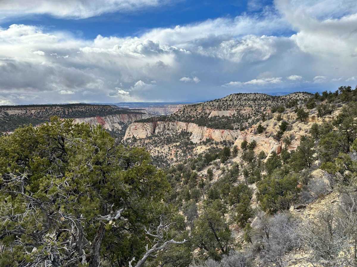 Lower Black Mesa Loop photo 5
