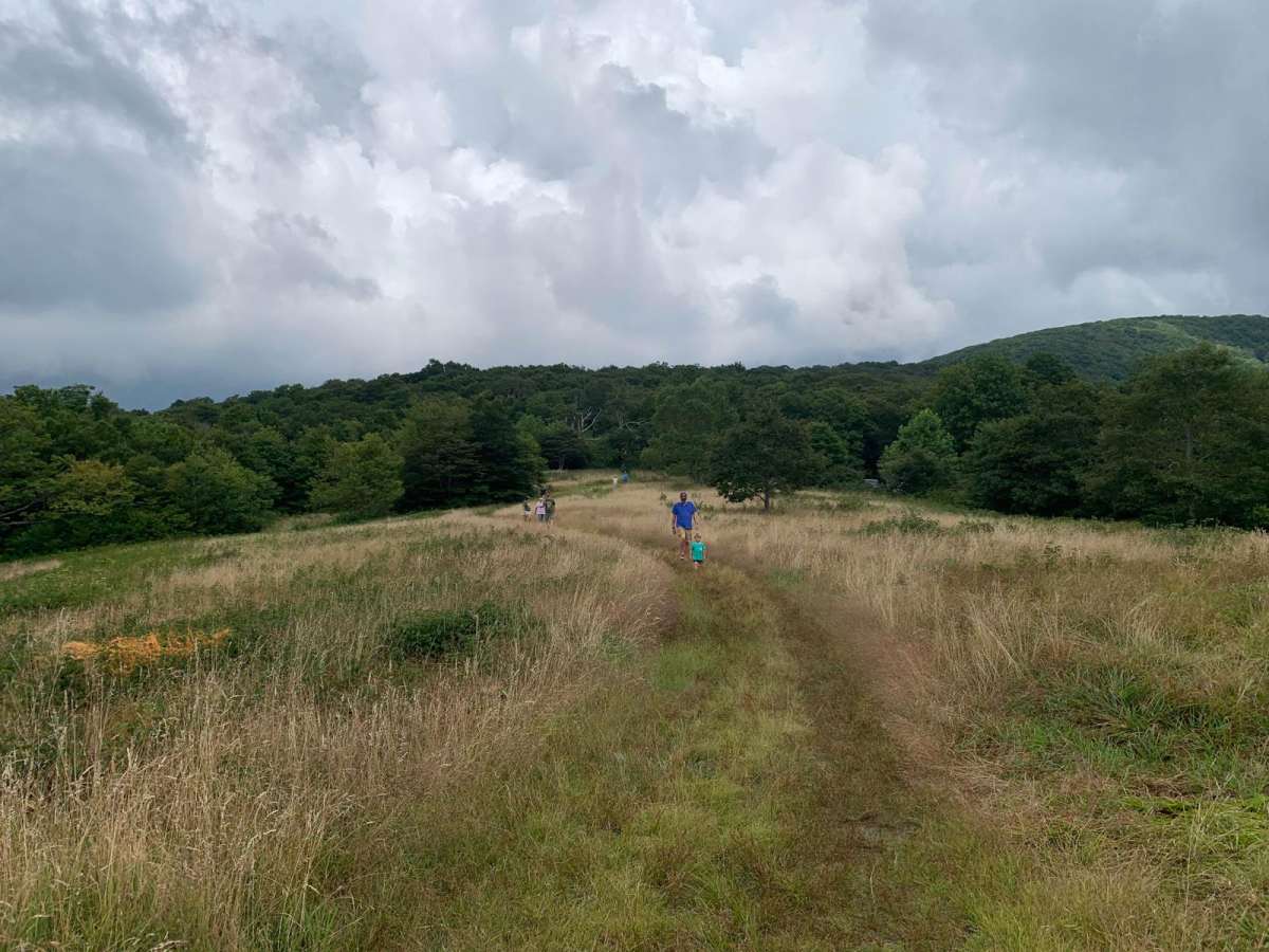 Wigg Meadow photo 4