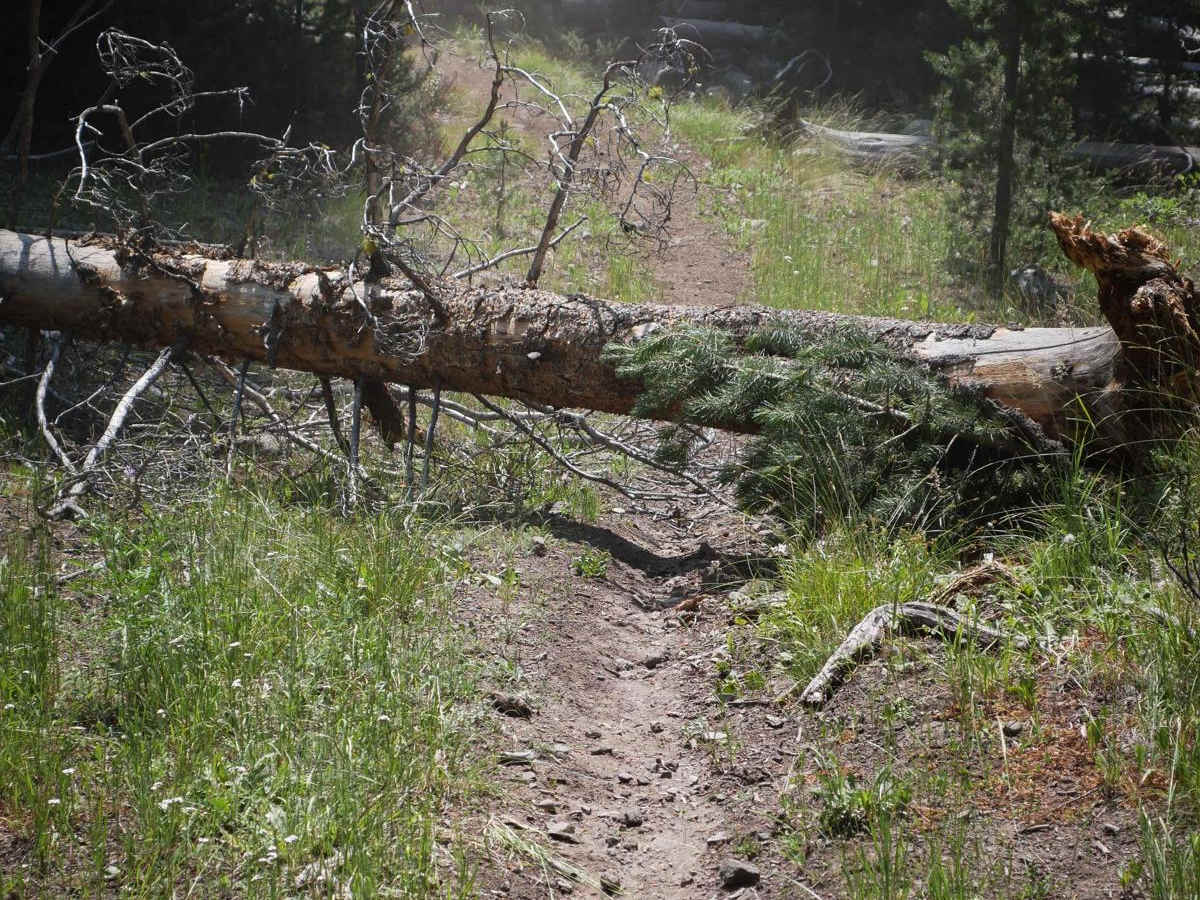 Squaw Creek photo 5