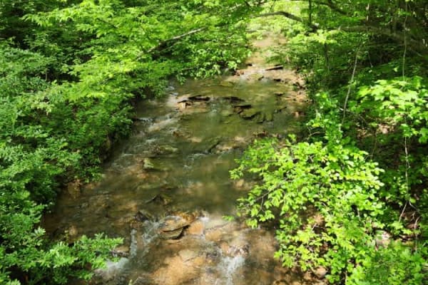 State Forest Road 14