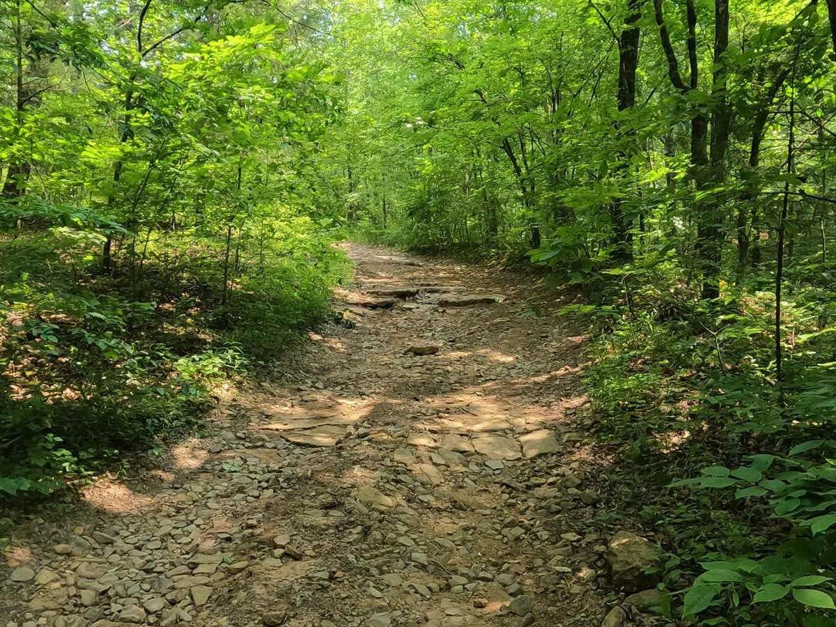 Bill Smith Hollow FSR 2064 trail photo