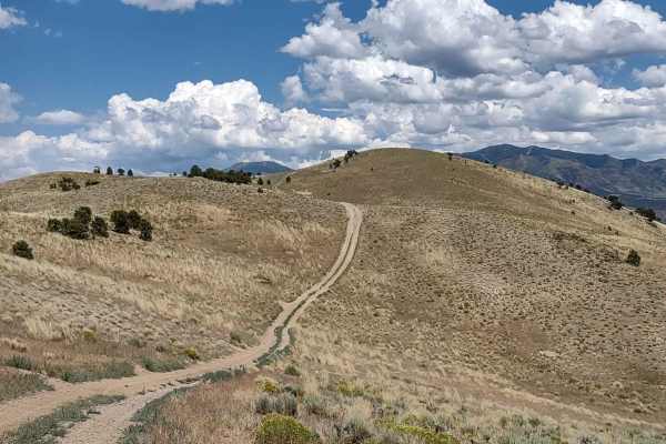 Over Hill, Over Dale