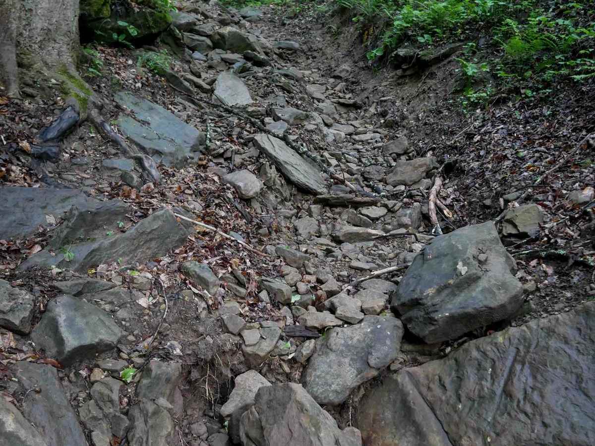 B87 trail photo
