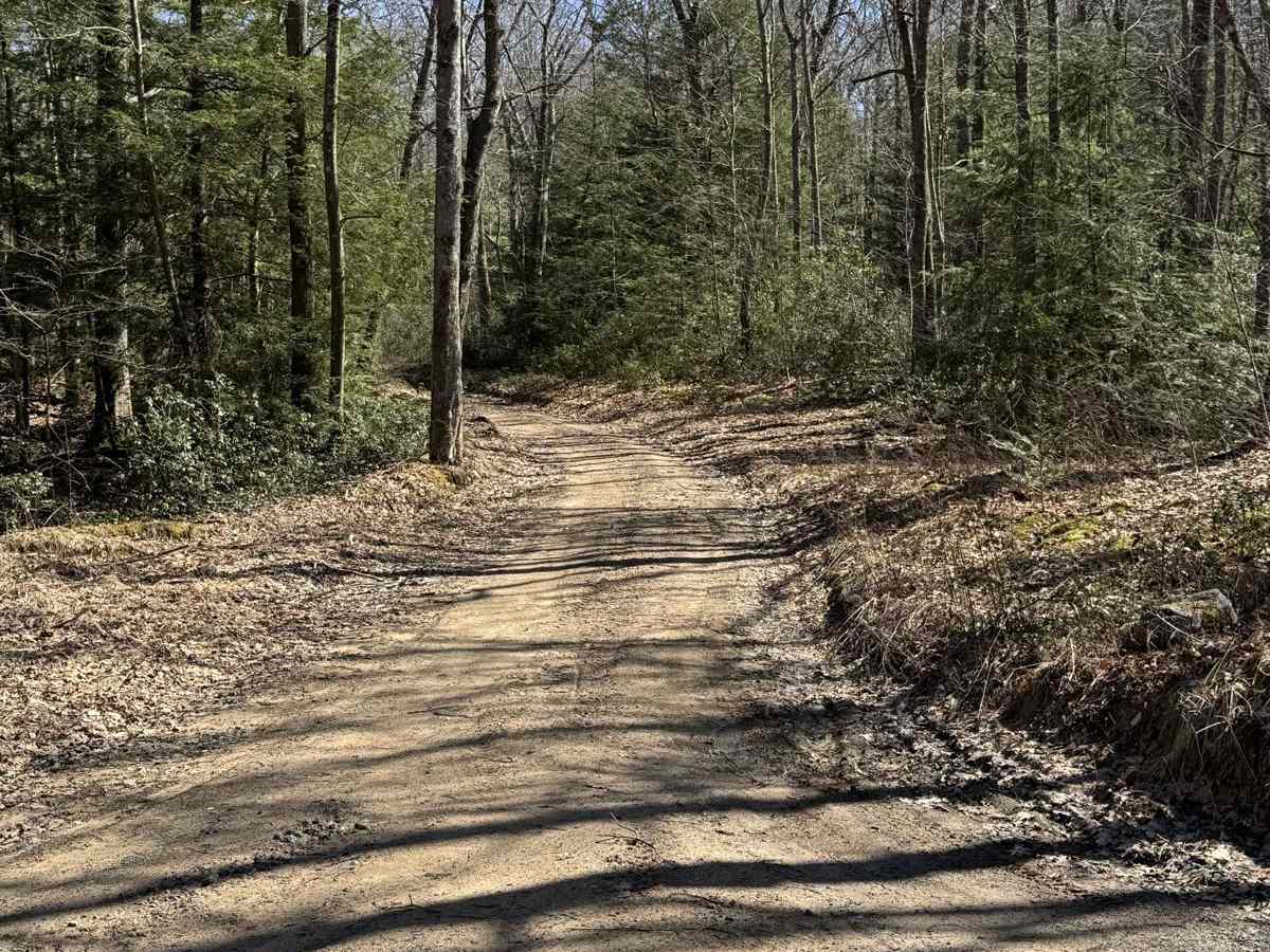 Boggs Ridge Road photo 2