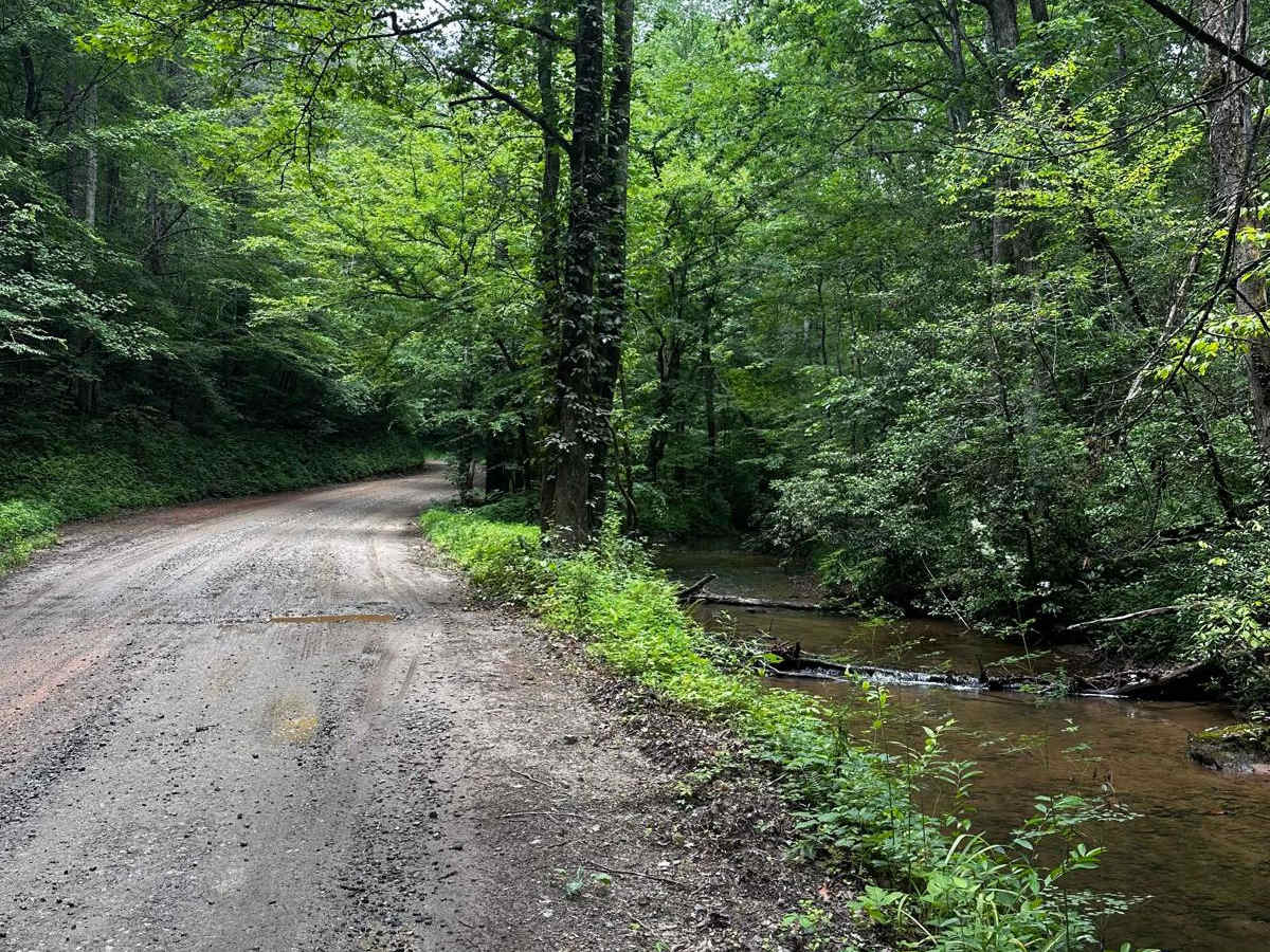 Cooper's Gap photo 3