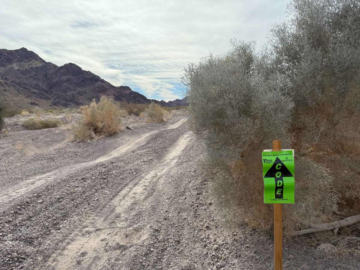 Salt Flat Loop 1000 Course photo 6