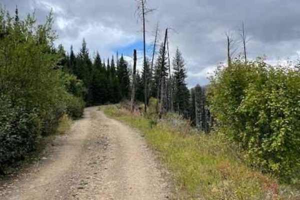Mill Creek Road