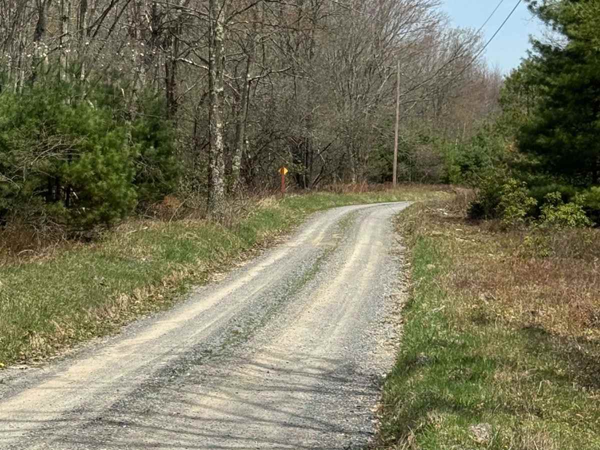 Narrow Gauge Road photo 4