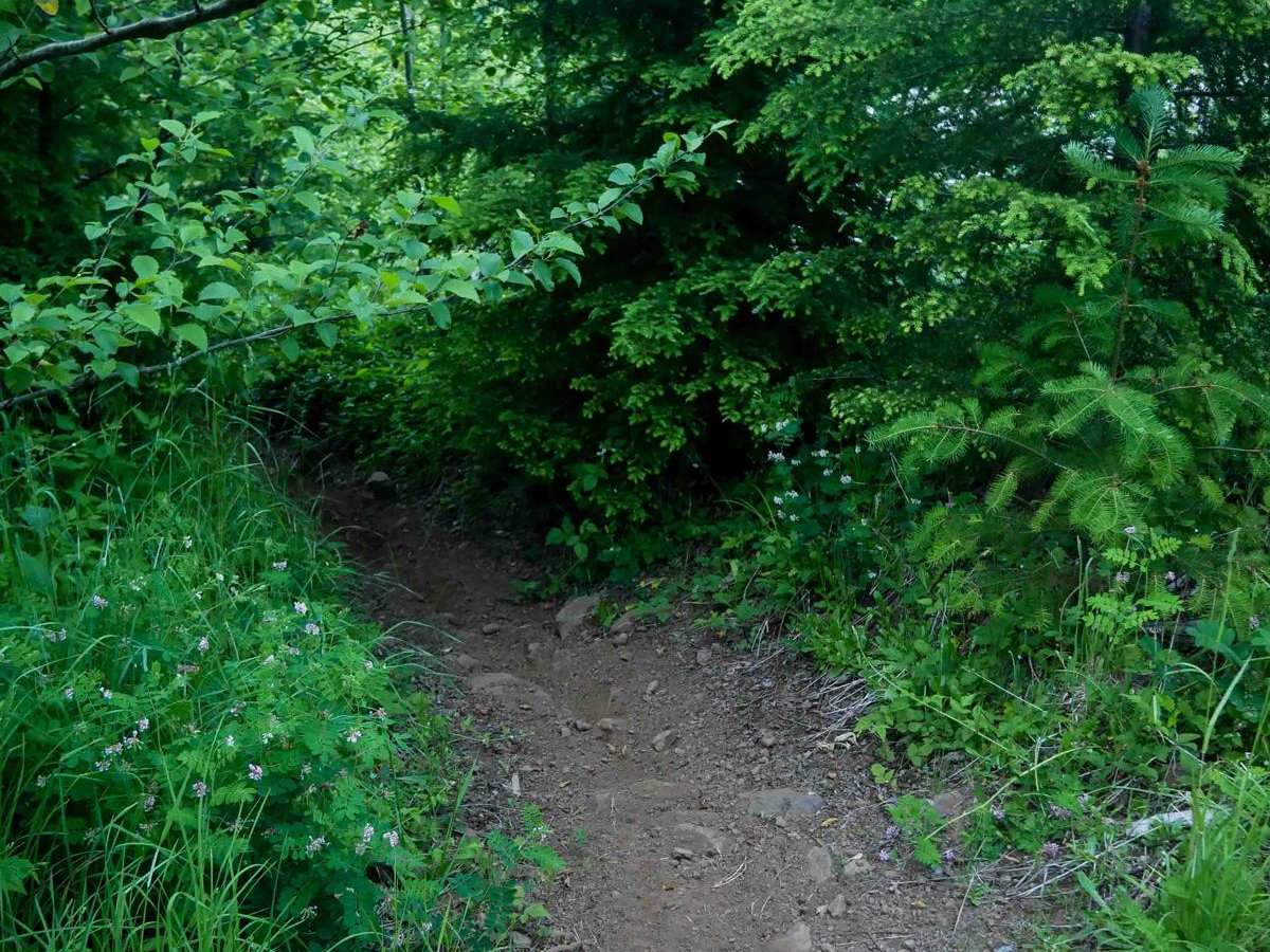 Beaverslide #52 (Difficult) photo 5
