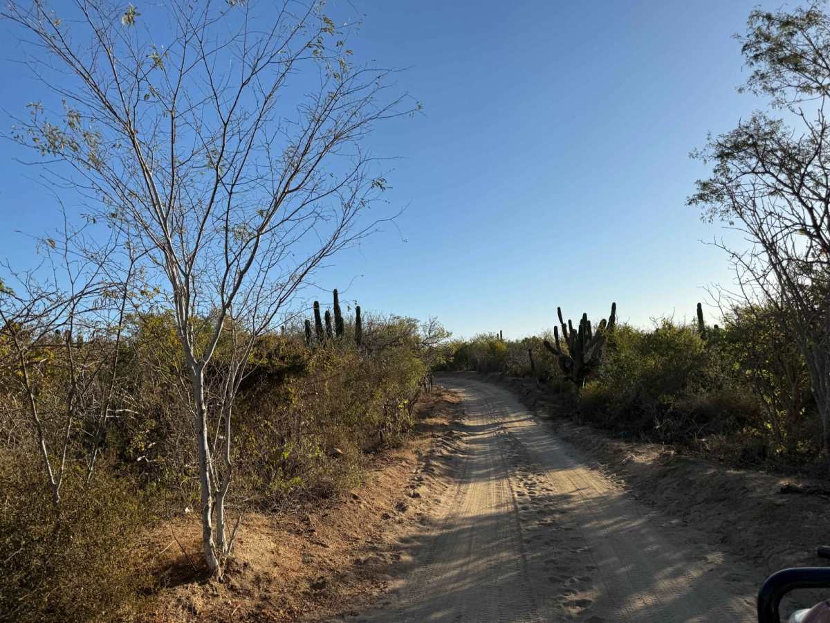 San Jose del Cabo 2 trail photo