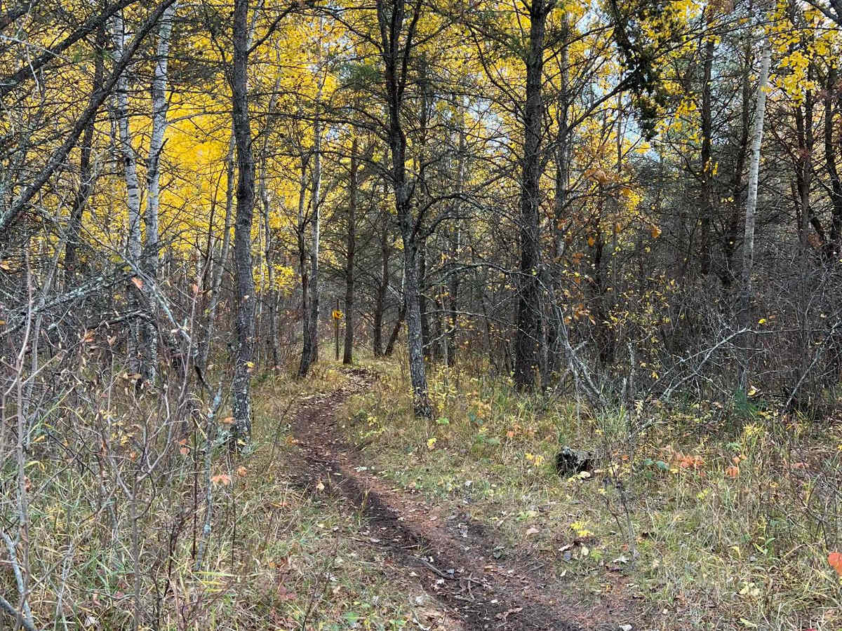 Huntersville Smooth Switch Back Start trail photo