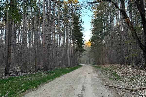 Cadillac Area ORV/OHV Scenic Ride - 7520