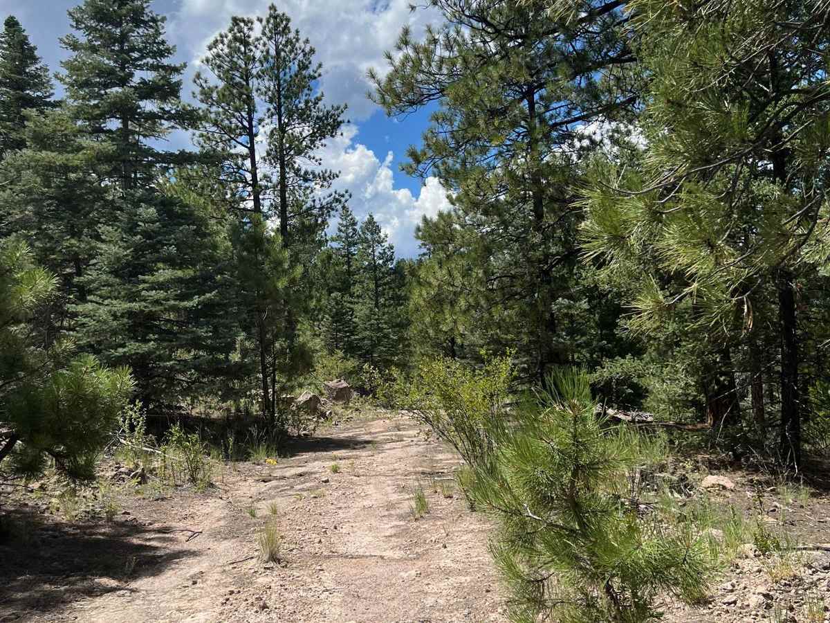 Boulder Wash - FR 451 photo 2