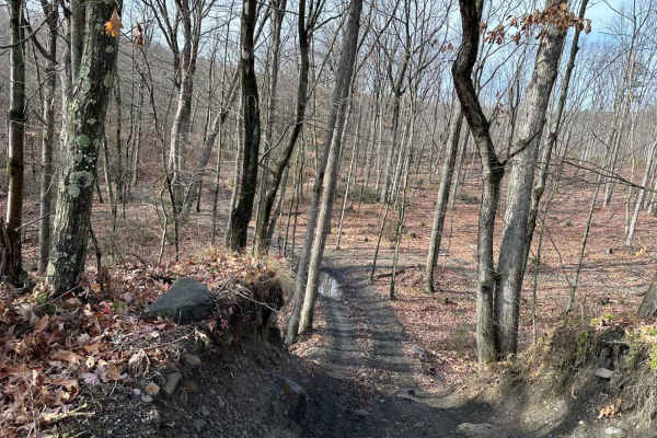 Wimzy Water Hole Trail