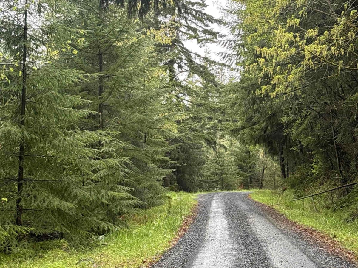 DNR Road 5 - Elbe OHV Access photo 2
