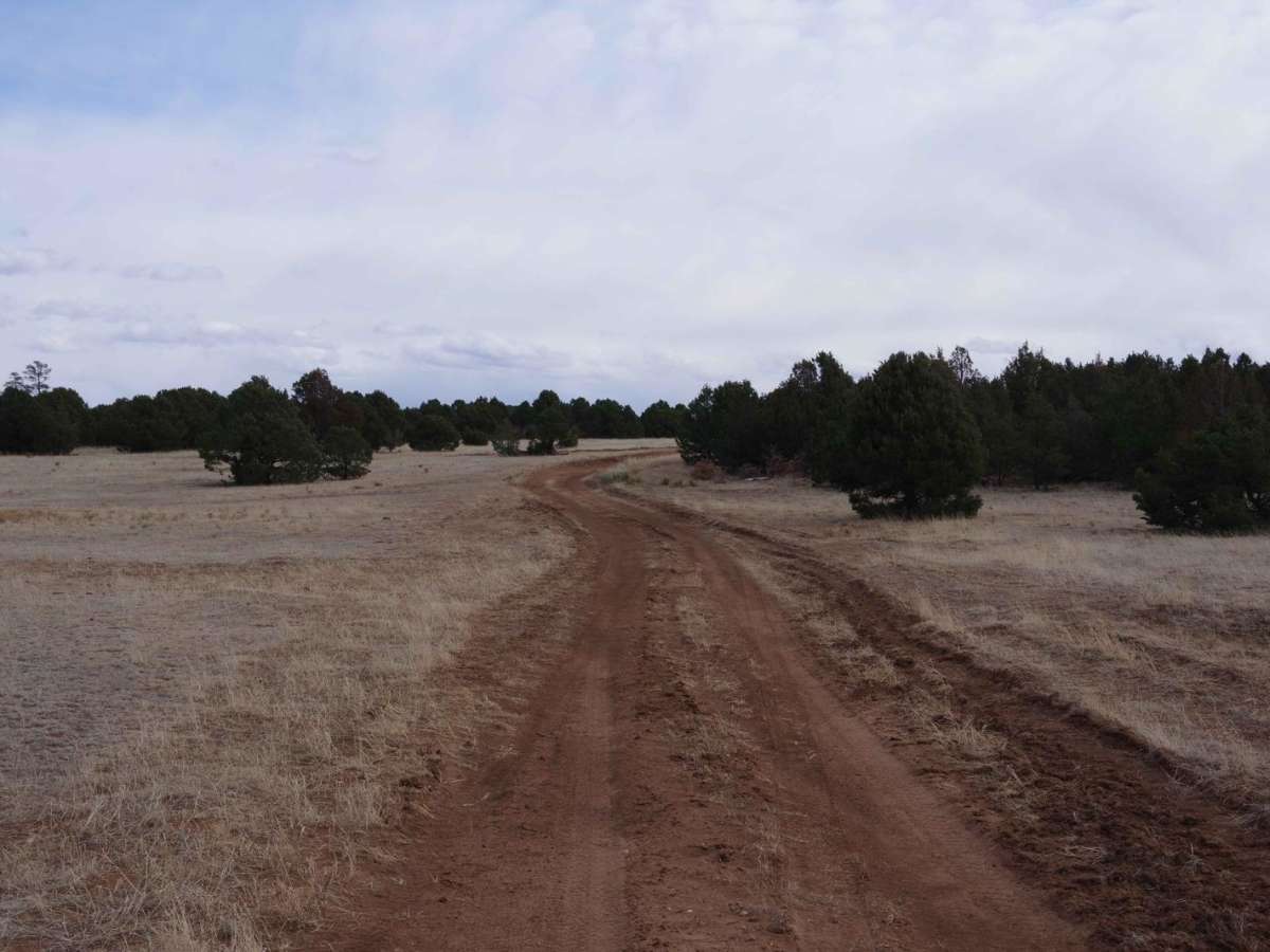 Arroyo de los Diegos trail photo