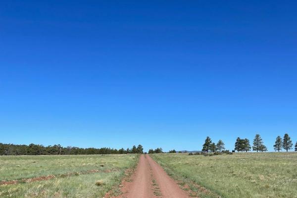 FS 125 to Kinnickinnick Lake Road
