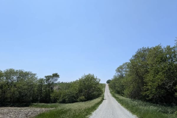 M Road