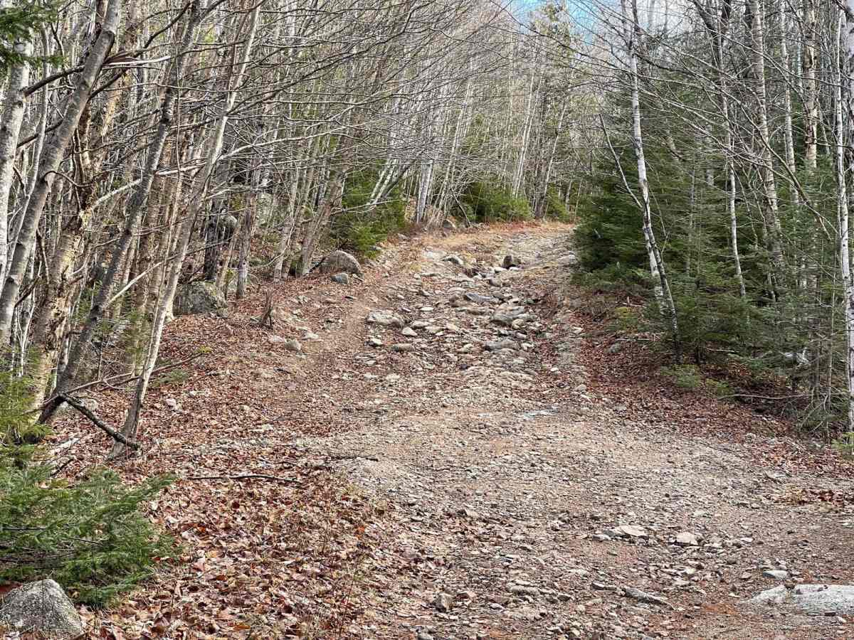Airport Hill Trail photo 3