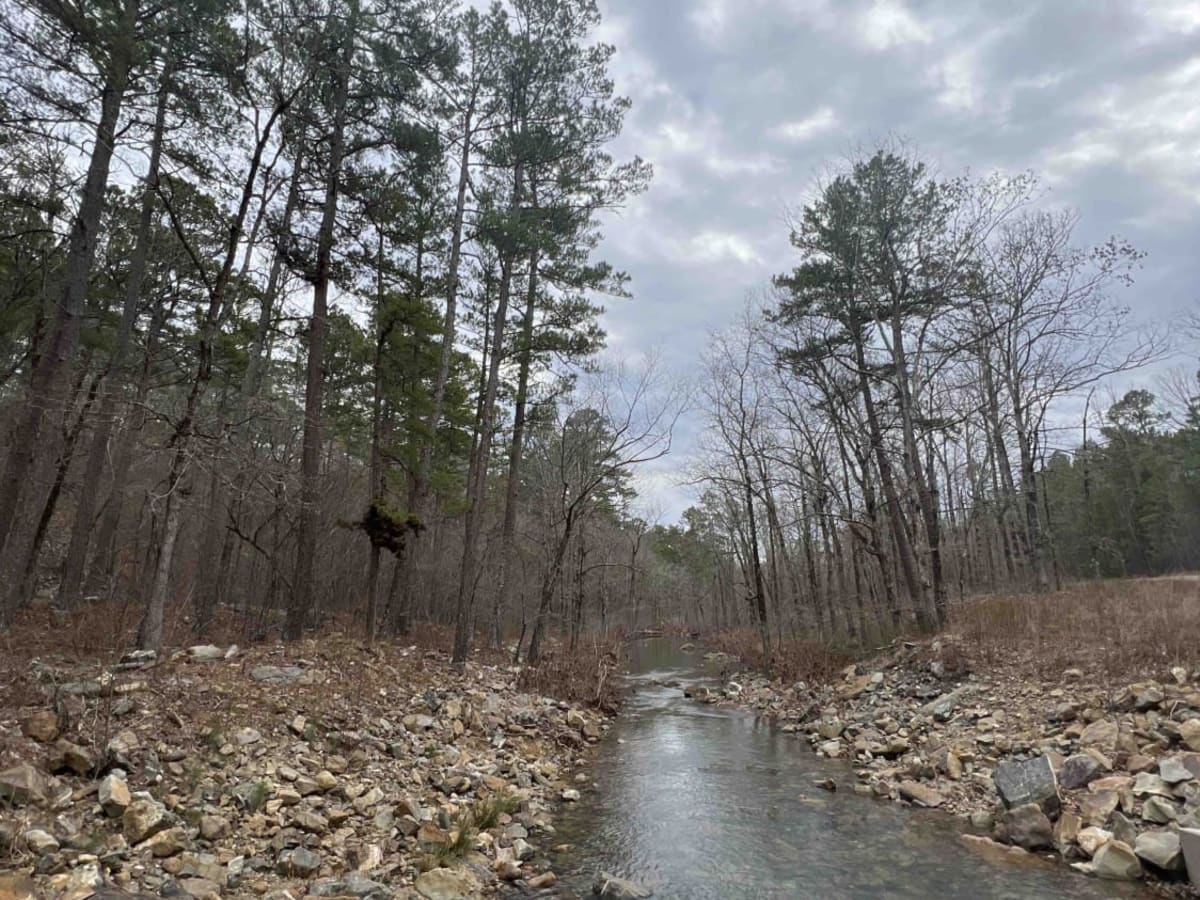 Prater Road 225 photo 2