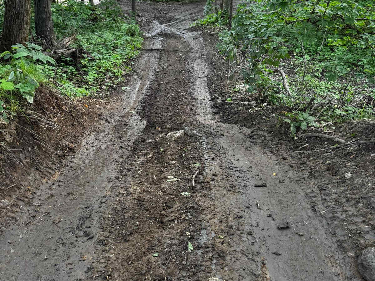 Jeep Trail 82 photo 4