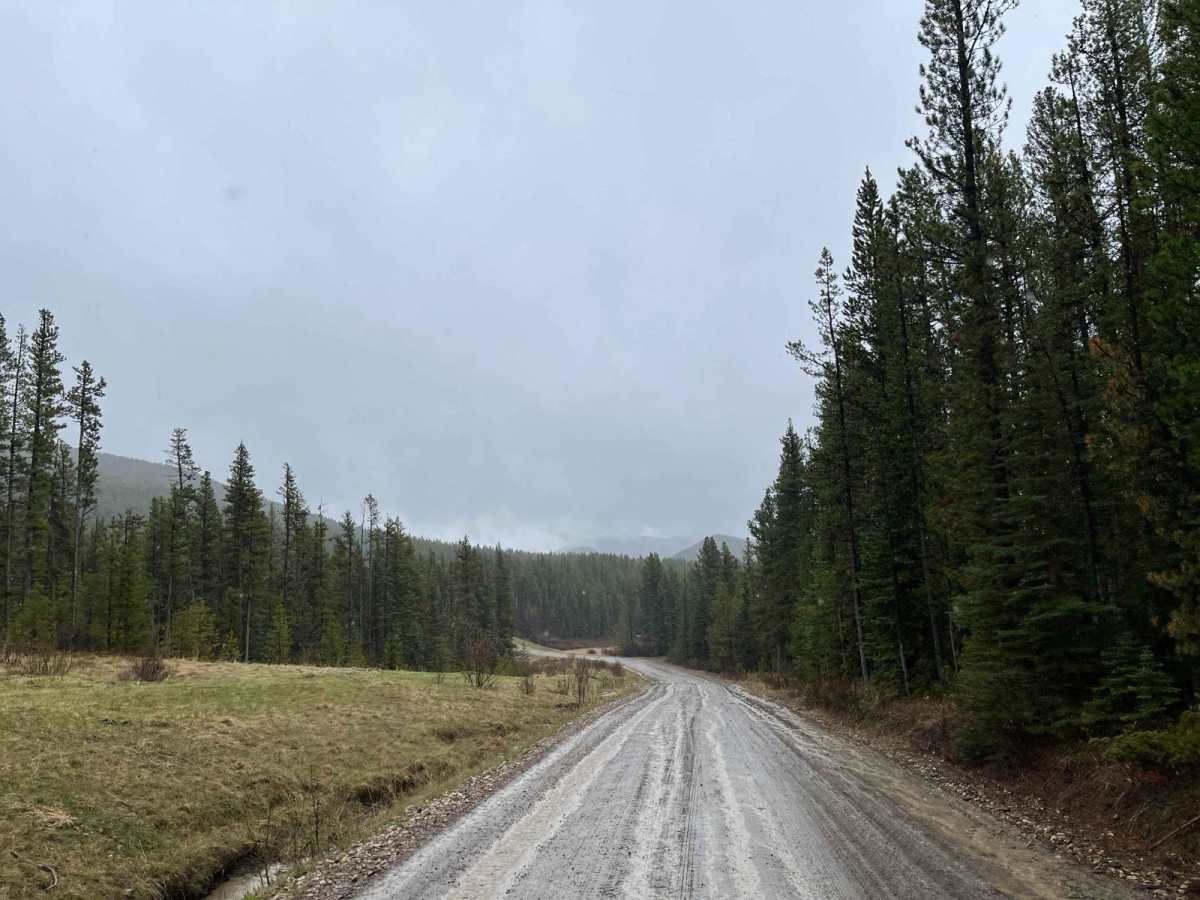 Waiparous Valley Road photo 3
