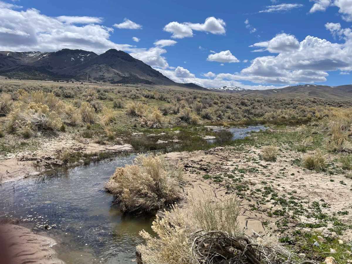 Spaulding Canyon Trail trail photo