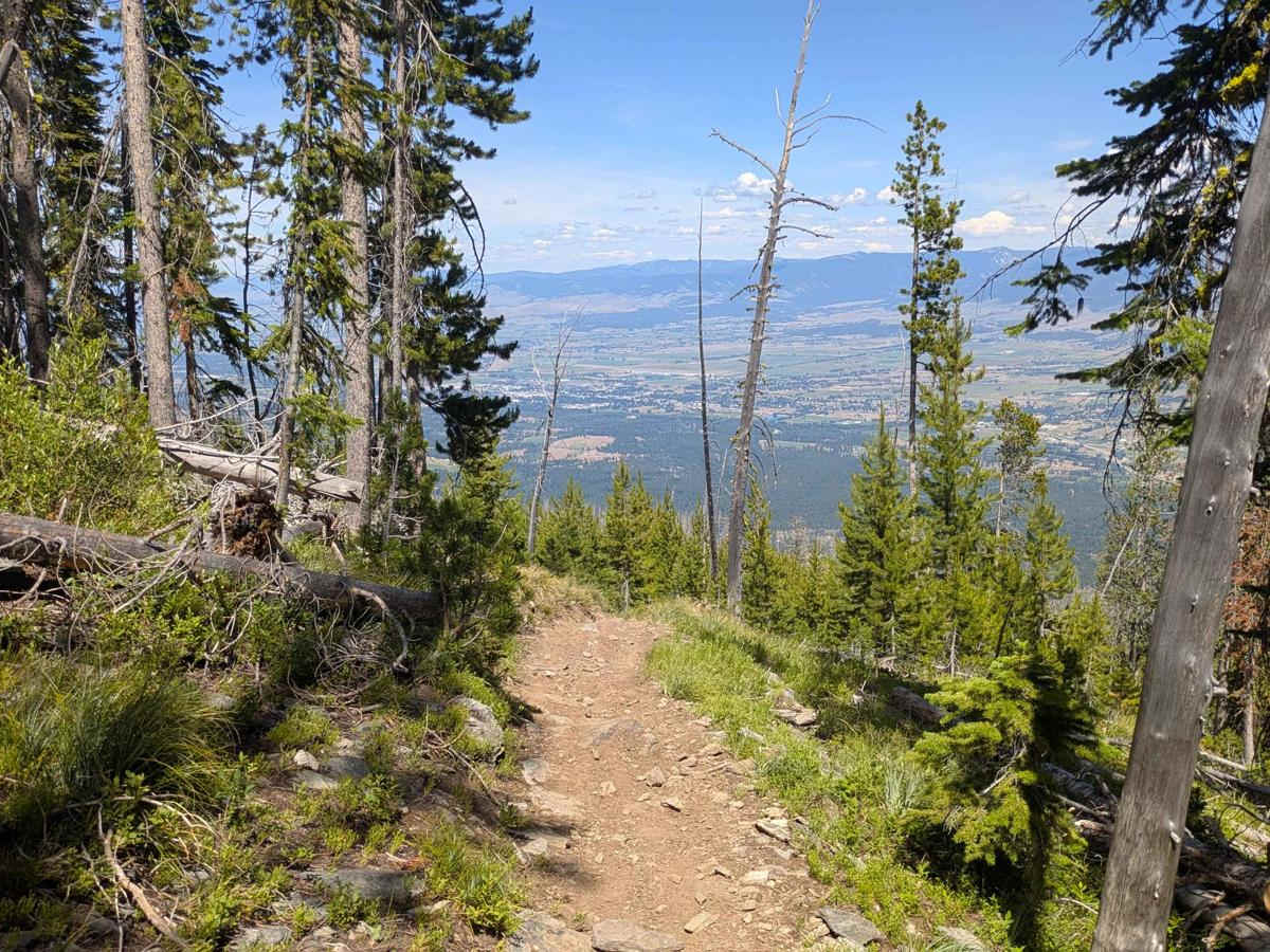 Ward Mountain photo 3