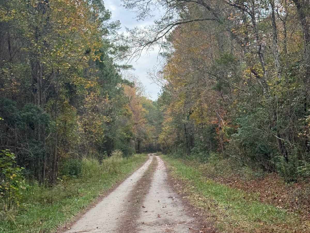 Crooked Road photo 5