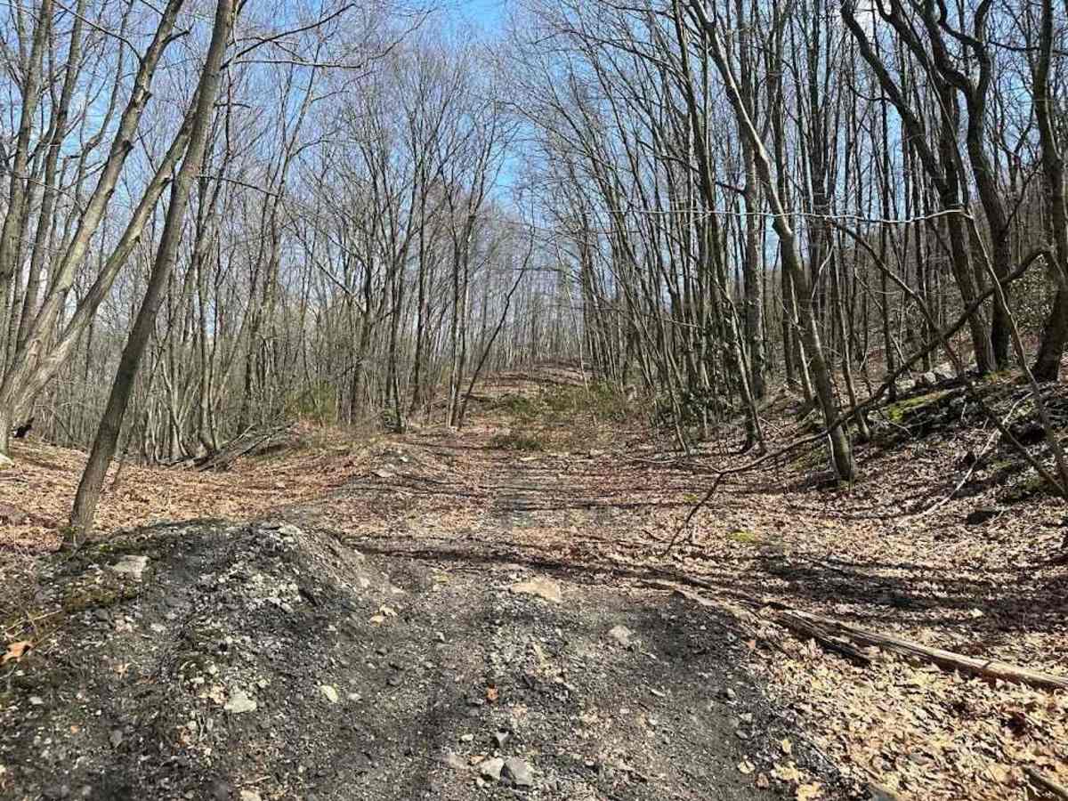 Ashland 125 trail photo