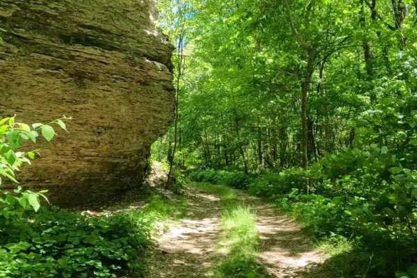 Otter Pond FSR 345A
