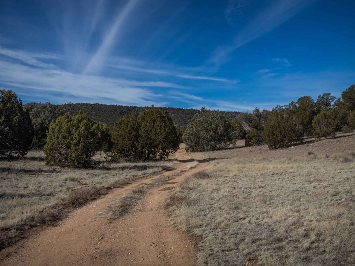 Dry Gulch Trail photo 6