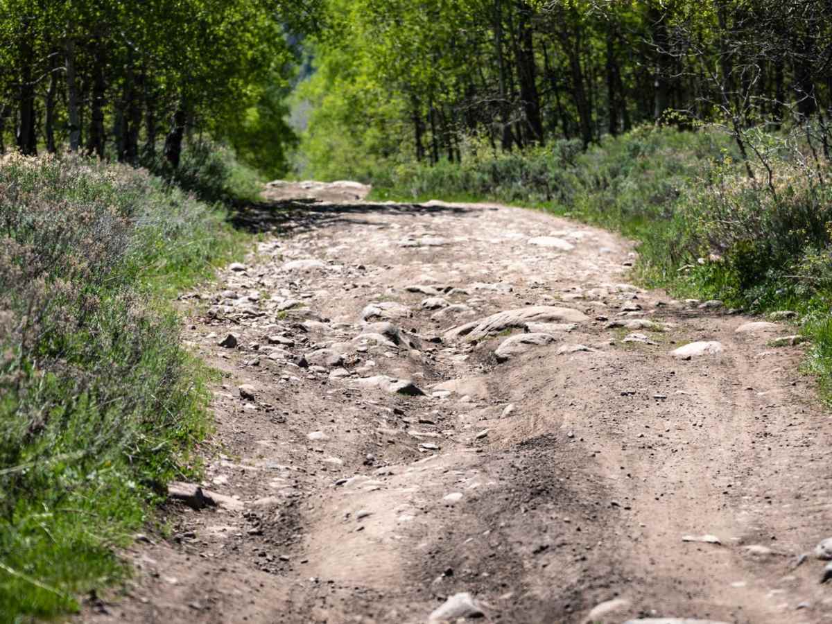 West Fork Duchesne - FR 70050 photo 2