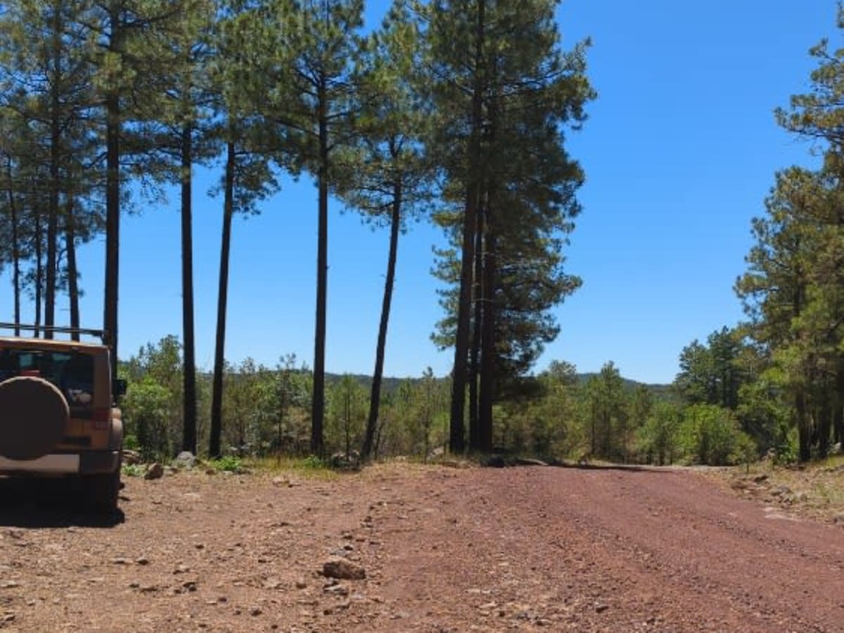 FS 538 Secret Mountain Road photo 6