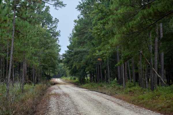 Bonneau Ferry WMA - Perimeter Loop - Alternative