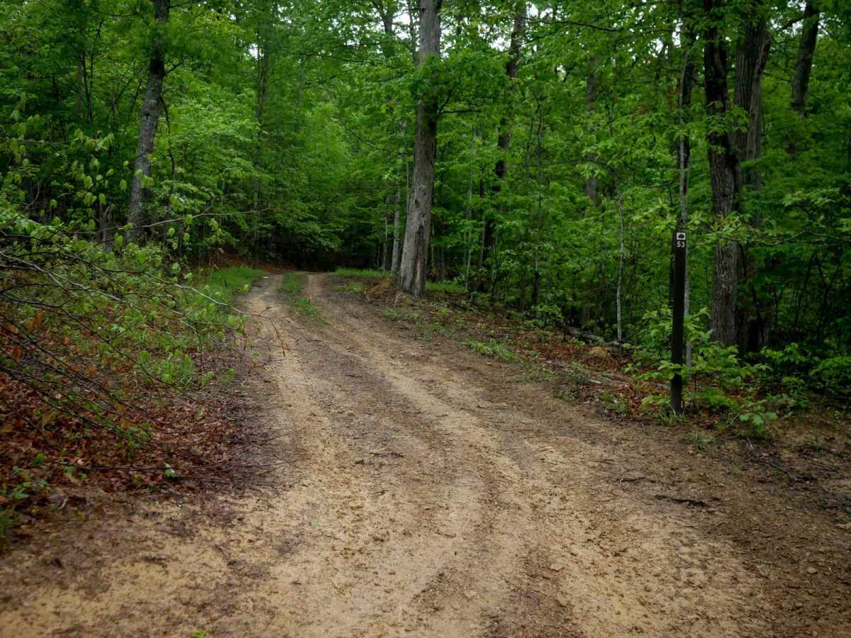 IB 53 trail photo