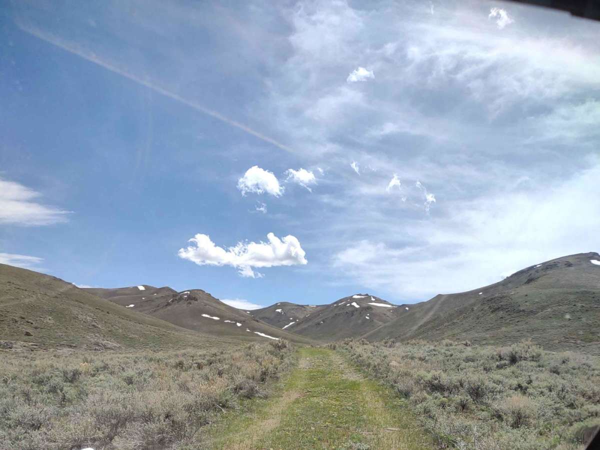 Appendicitis Hill Spur #5 trail photo