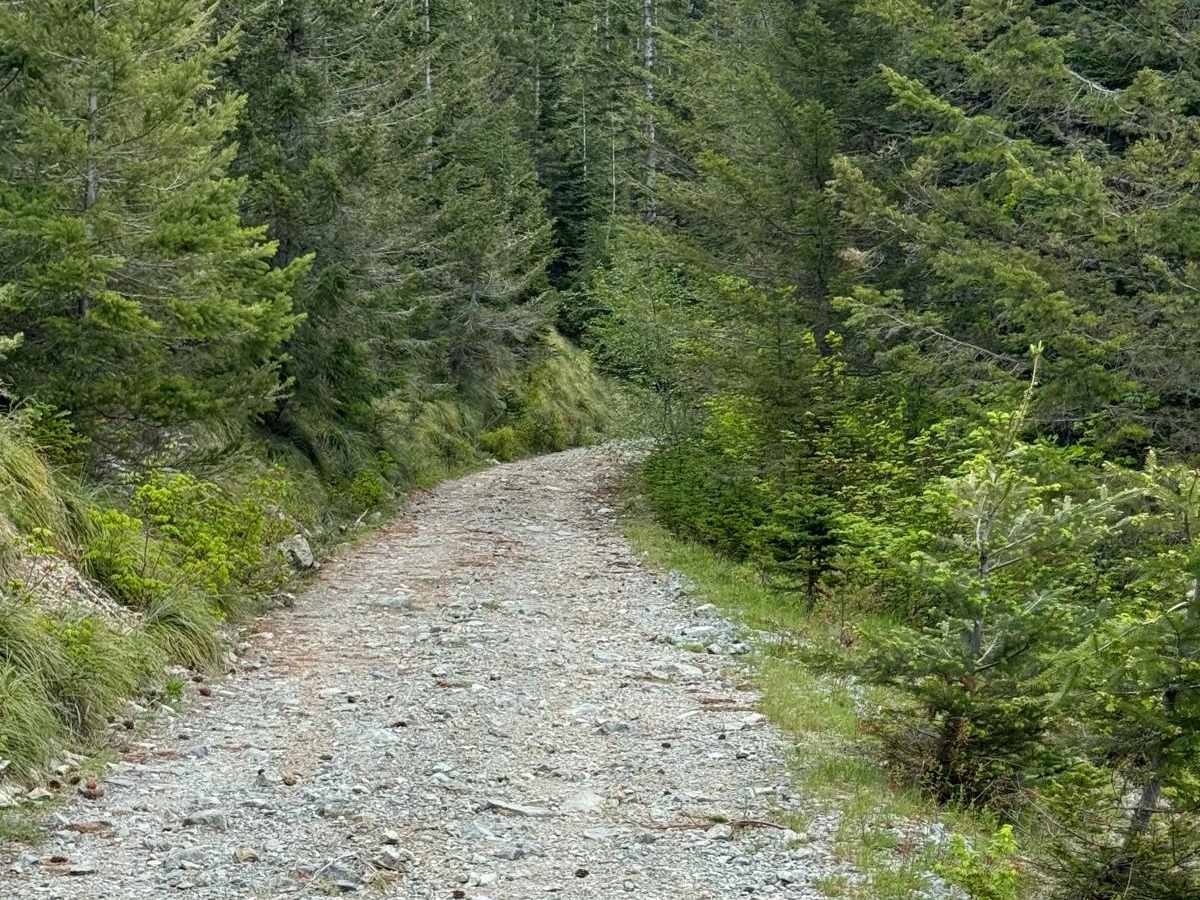 Zig Zag Lake photo 2
