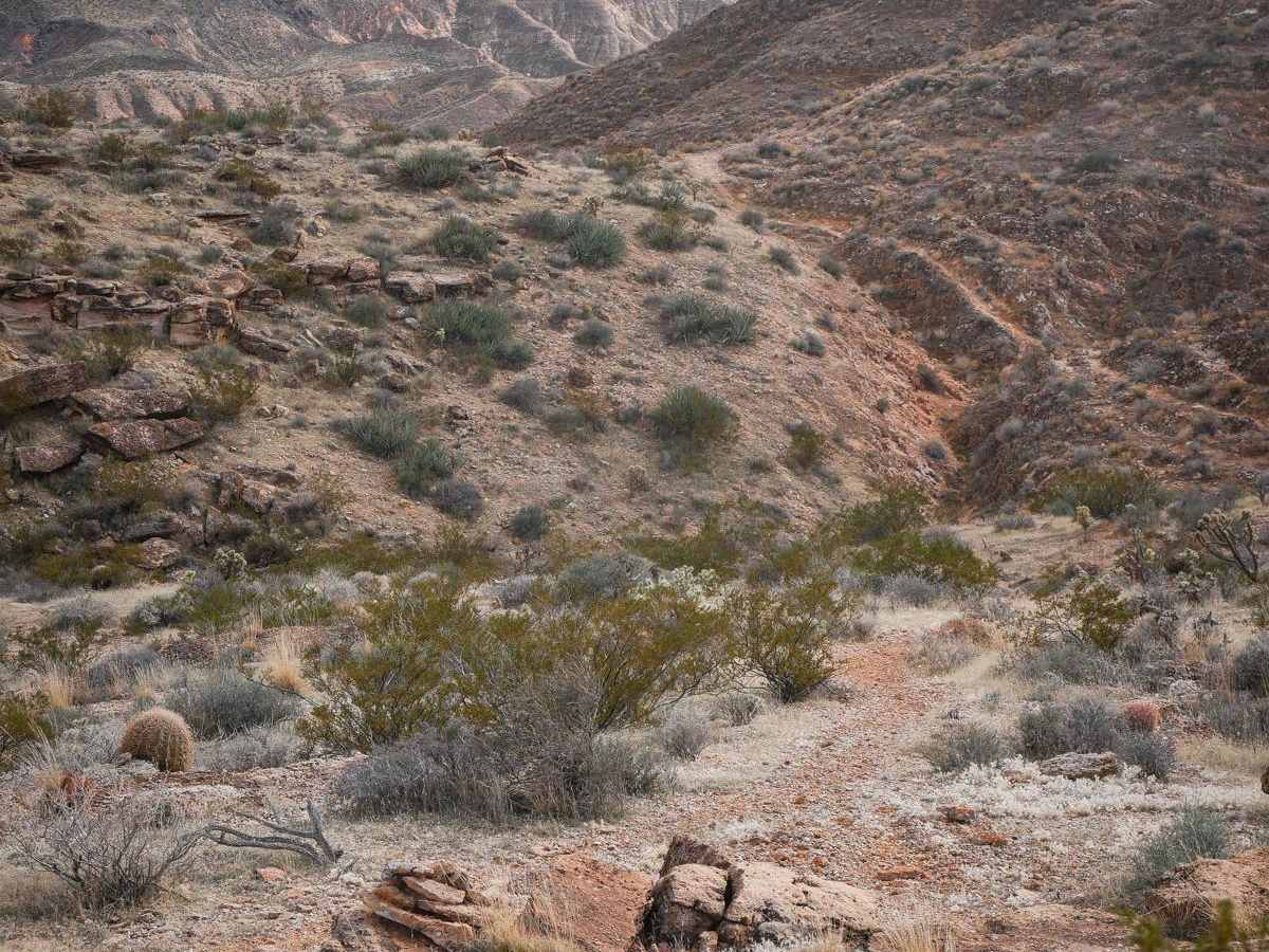 Dutchman Rim photo 4