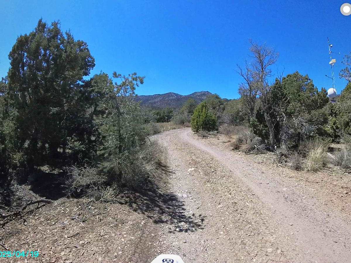 Pine Nut Road photo 2