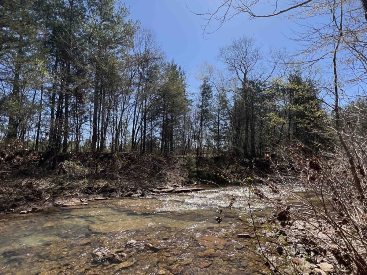 Liberty Springs 1334 trail photo