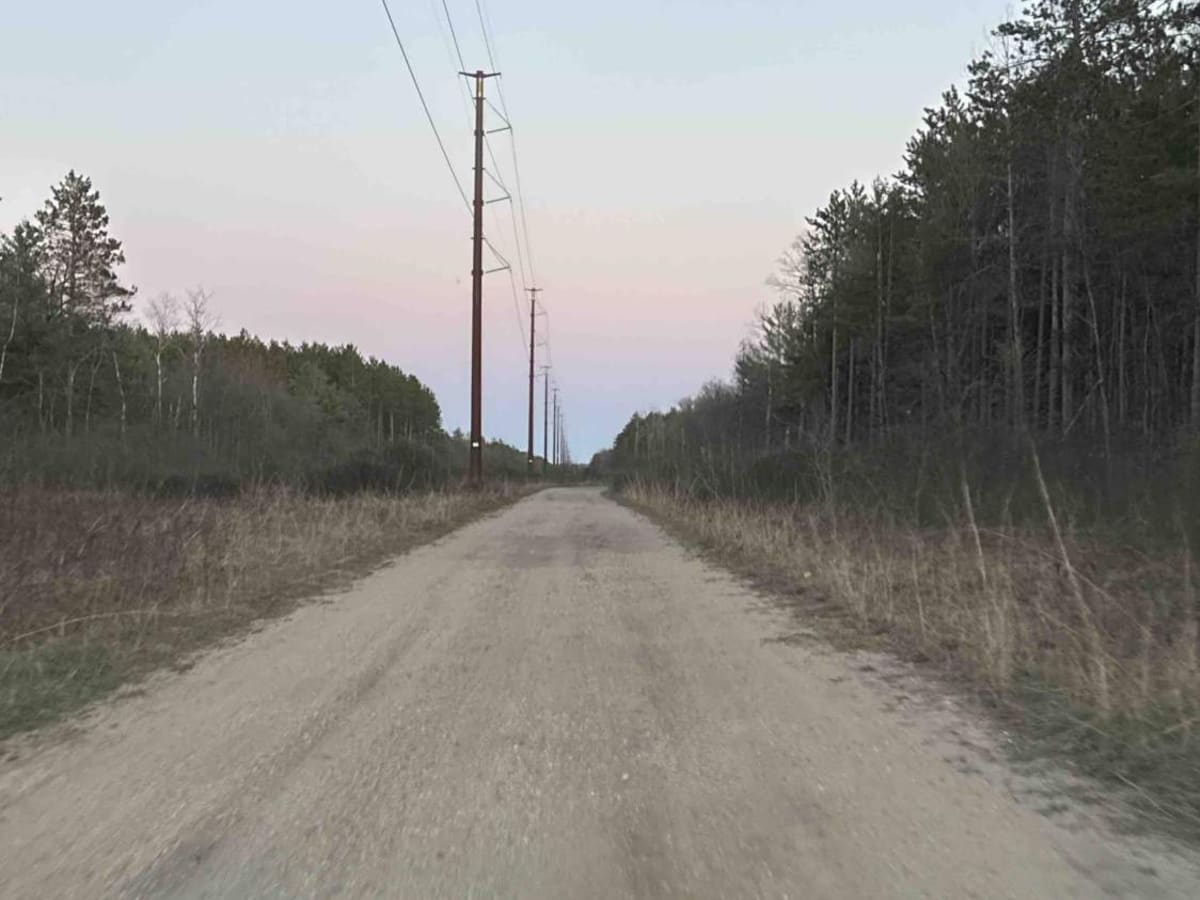 FS 3999 photo 2