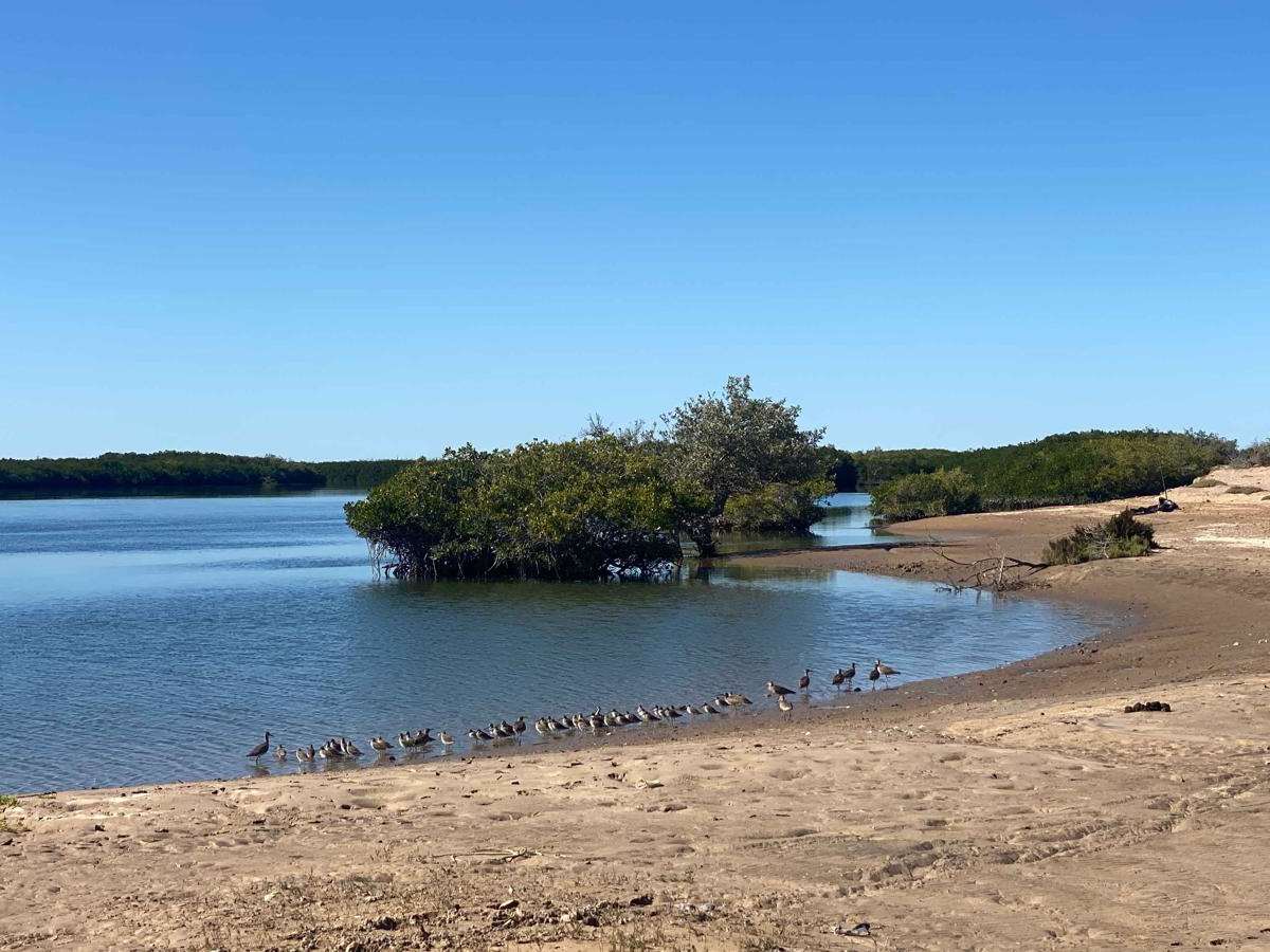 Lowlands Route trail photo