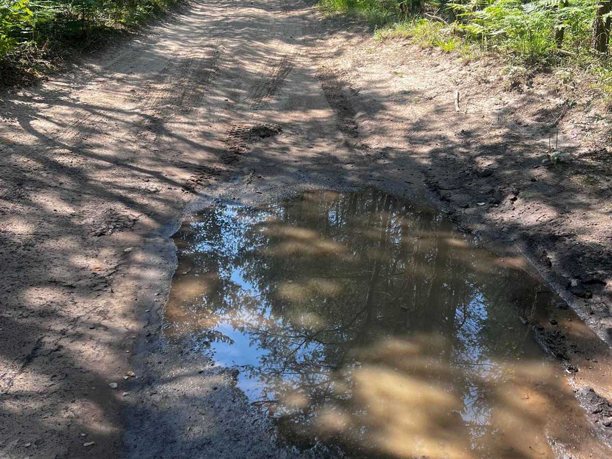 Twisty Weeble Wobble Camp Trail photo 3